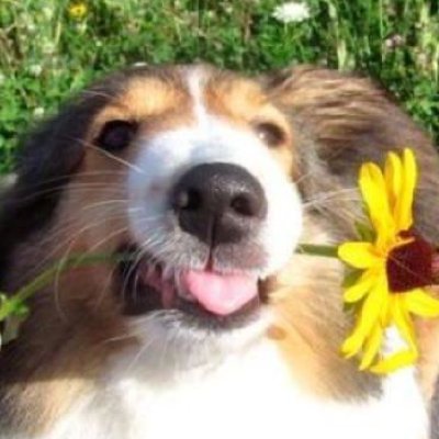 HazzyXn's profile picture. https://t.co/mNtaPTQC1u