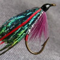 Fishforfun (@johnkeith53) 's Twitter Profile