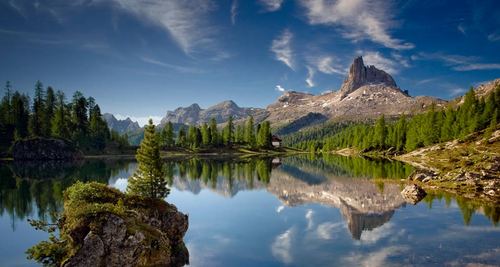 Custer SD, Black Hills of South Dakota