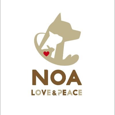 大阪市を拠点とする team NOA（一般社団法人LOVE&PEACE）です。捨てられたどうぶつ達を行政機関より保護し、里親探しをしています。ブログは啓蒙啓発的な内容も多いです。鍵付きのアカウントはこちらからフォローしませんので相互フォロー希望の方はご連絡ください。よろしくお願いします🐕️🐈️🐇✨