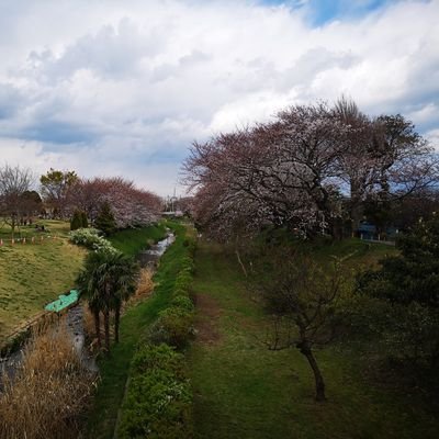 siroさんのプロフィール画像