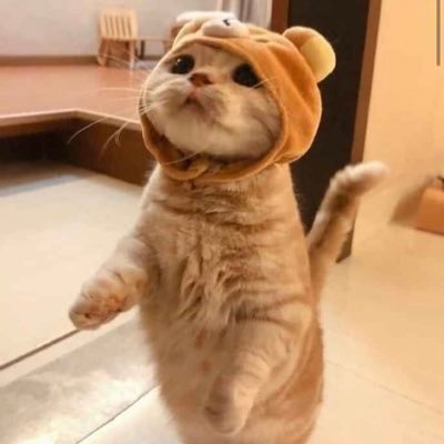 Ah Shukさんのプロフィール画像