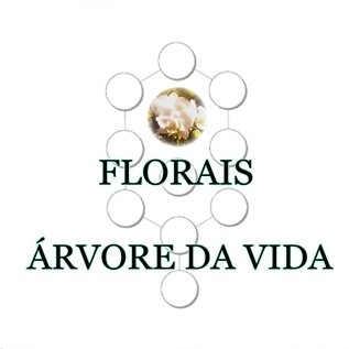 Pesquisa e produção de essências florais.
Equilíbrio emocional através do autoconhecimento.