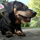 Daisy Clarke - @DaisyMaeClarke - Twitter