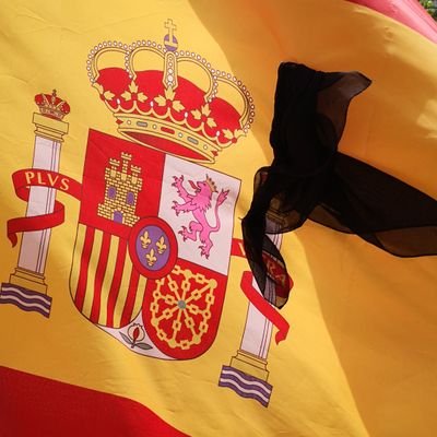 Fernandommesa's profile picture. Español🇪🇦,hetero♂️,padre, creyente ✝️ y camionero🚛 orgulloso de su tierra 🇪🇦. 
Gasoil en las venas
Rojos,sindicalistas y medios lavacerebros👎🏼👊🏻