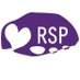 RockStone & Pebbles (RSP) (@RockStoneandP) Twitter profile photo