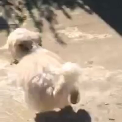 experiencesoci4's profile picture. Je vais faire un compte tout ordonné vous inquiétez pas