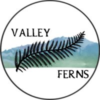 Valley Ferns (@valleyferns) 's Twitter Profile