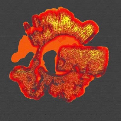 ryanpung93's profile picture. I need KodaiAio