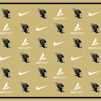 Gateway High School Athletics (@gatewayeagles20) 's Twitter Profile