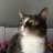 MichMiel1988's profile image