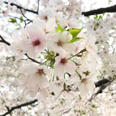 おてもとさんのプロフィール画像