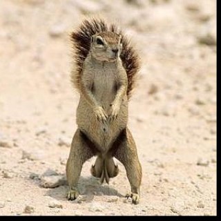 lowhangingballs's profile picture. living the dream