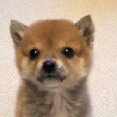 二丁目の変質者 アーライラフ Ljjdfidqzvsivsx Twitter