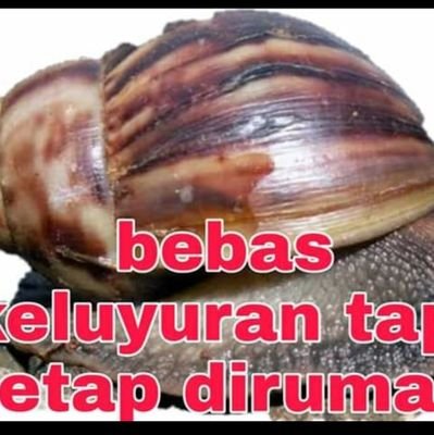 mencari buah hatiku yg telah pergi.