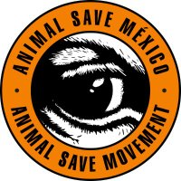 Animal Save México(@AnimalSaveMx) 's Twitter Profile Photo