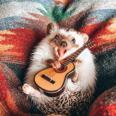 espressocafe17's profile picture. In the middle of nowhere