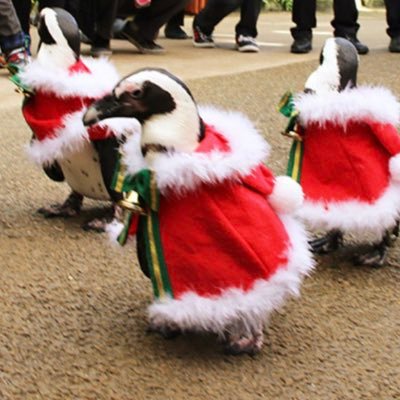 12Pooh_'s profile picture. 無言フォロー失礼します。都内に巣がある鳥好きです。