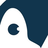 Heavy Penguin(@heavypenguinweb) 's Twitter Profileg