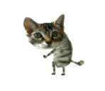 Frances Hope - @damefrances - Twitter