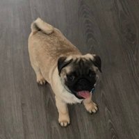 Kosta (@kostamichellis) 's Twitter Profile