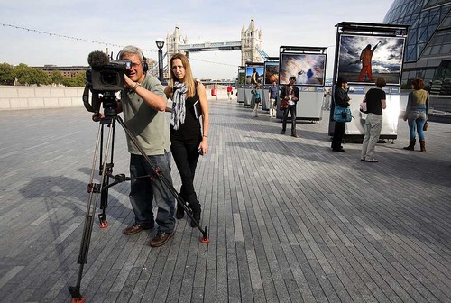 CBC London Bureau Producer. Twitter voyeur mostly. My tweets and views are my own.