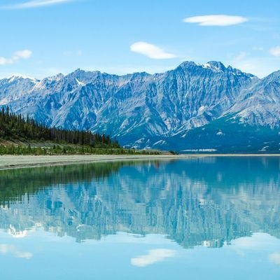 sonu3687's profile picture. 