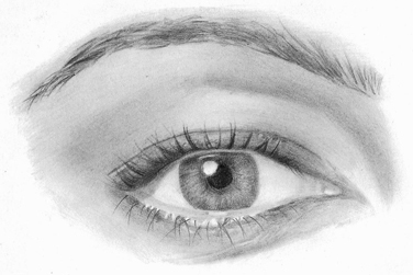 SraAliciaV's profile picture. Observadora. Estudiosa del ser humano, sus acciones y reacciones.En el discernimiento, radica la Sabiduría