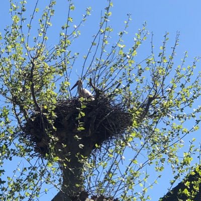 chriquishelly's profile picture. 