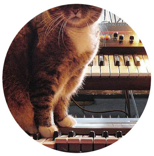 tigressmusic's profile picture. A public relations and management company based in NYC and London (UK). Aiding and abetting the makers of brilliant, innovative and independent music.