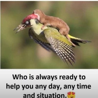 berko_issac's profile picture. Good people is good for everyone