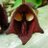 Angis2112's profile image