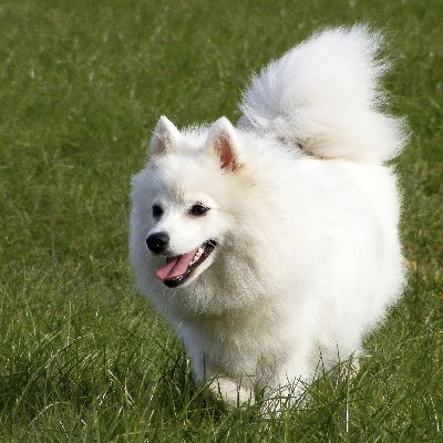 stephan88587951's profile picture. 