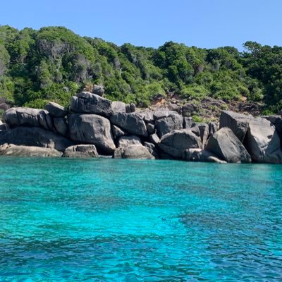 cagzyj's profile picture. 地狱天堂皆在