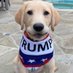 ๐บ๐ธโ๏ธ๐บ๐ธPROUD NAVY VET๐บ๐ธโ๏ธ๐บ๐ธ (@scobra642) Twitter profile photo ๐บ๐ธโ๏ธ๐บ๐ธPROUD NAVY VET๐บ๐ธโ๏ธ๐บ๐ธ (@scobra642) Twitter profile photo