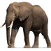 Kevin Wachira (@kwachira2020) Twitter profile photo Kevin Wachira (@kwachira2020) Twitter profile photo