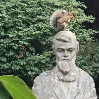 Utica University Biology Dept (@uticabiology) 's Twitter Profile Photo