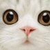 ใใใใ (@bokutai12) Twitter profile photo ใใใใ (@bokutai12) Twitter profile photo