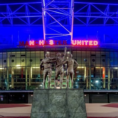 magicdamo's profile picture. 