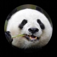 jeanhugodelavega (@jeanhugodlavega) 's Twitter Profile