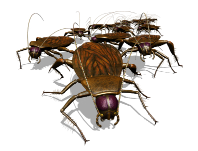 New Yorks #1 Pest Control Service.
