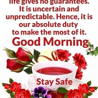 navinharipersa1's profile picture. Loves horse racing