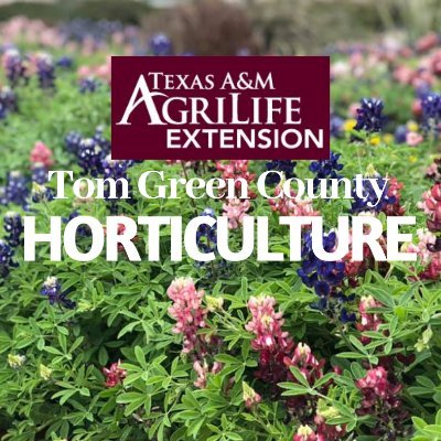Follow to learn about gardening and landscaping in the Concho Valley and find out about upcoming classes and educational opportunities!