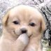 birbie (@birb1e) Twitter profile photo birbie (@birb1e) Twitter profile photo