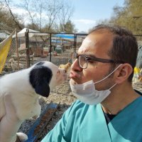 Mustafa Naci Yenal (@mustafayenal) Twitter profile photo