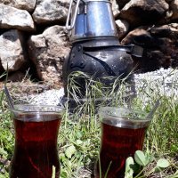 çîya_mazî (@ciya_mazi) Twitter profile photo