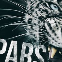 Türk (@pars_aral) 's Twitter Profile