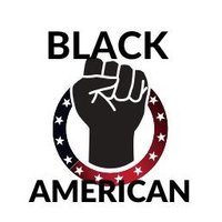 BlackAmericanConnect(@BlackAmConnect) 's Twitter Profile Photo