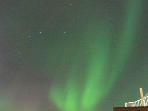 m_ohisa's profile picture. 