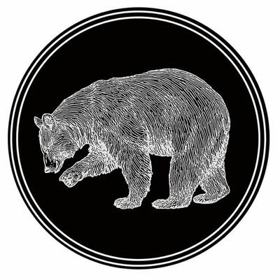 nobearsimprov's profile picture. FSU's #1 group of rag tag kids who love to say "yes and"